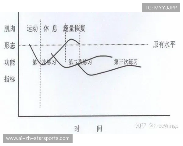 国际游泳教练在训练中采用生物力学评估与力量数据指导训练负荷